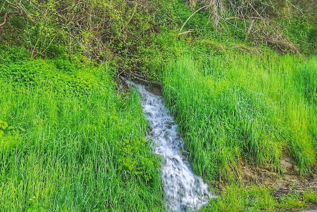 Prázdninový dům Mimi Pinson Bugey Ideale Deplacement Pro/Tourisme Souclin Francie